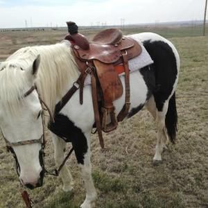 Meet your Posher, Dennis